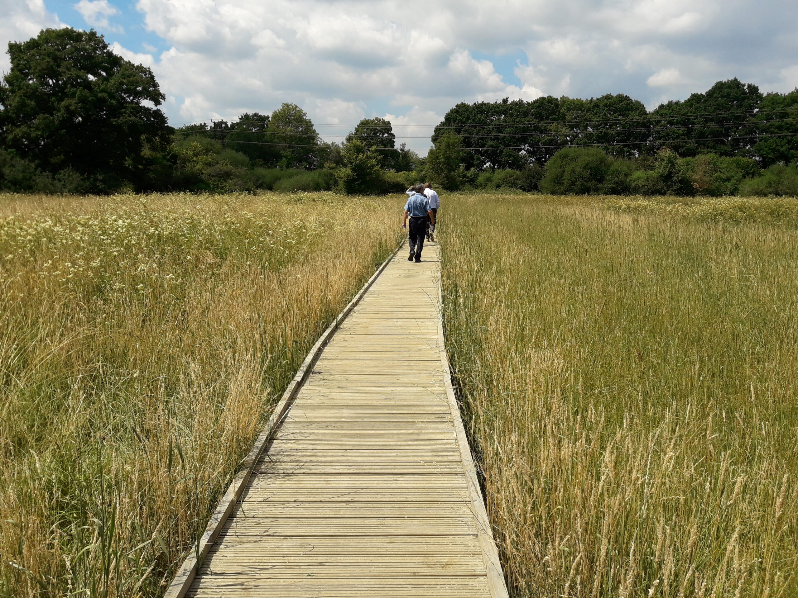 You are currently viewing Ash Green Meadows