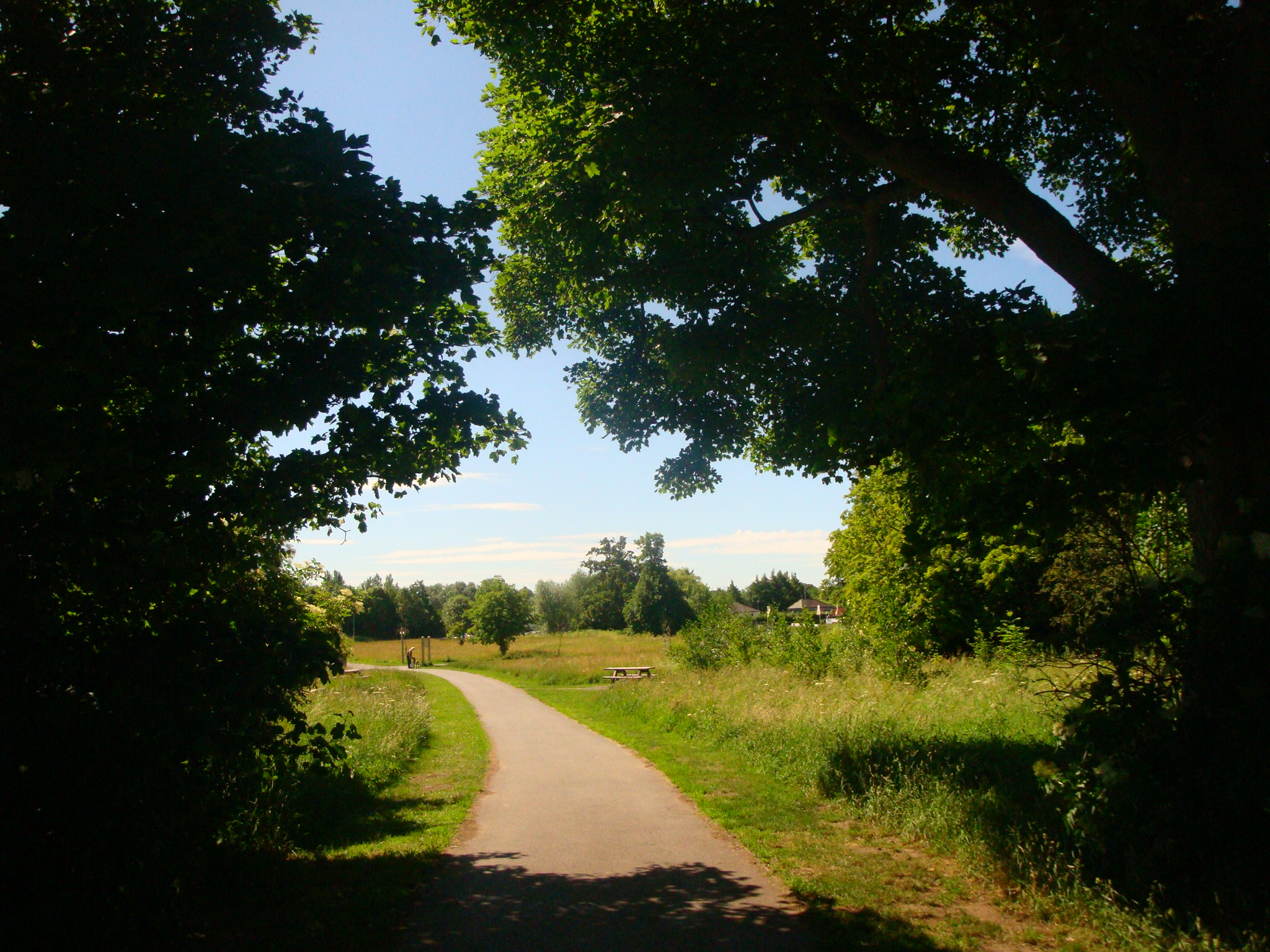 Countess of Chester Country Park